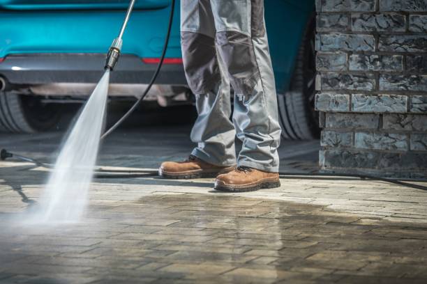 Best Gutter Cleaning  in Bunkie, LA