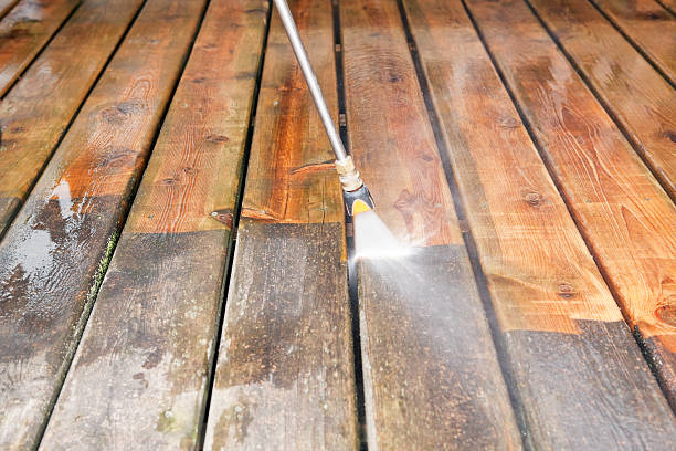Best Animal Enclosure Cleaning  in Bunkie, LA